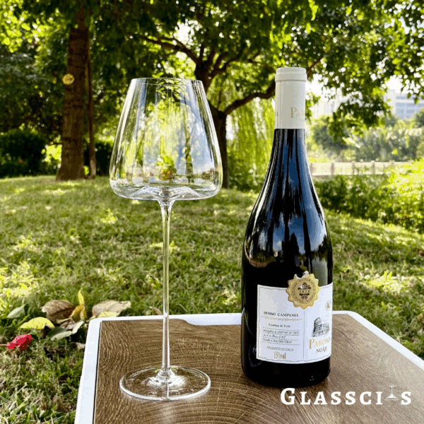 magette Ultra-Thin Flat Bottom Crystal Wine Glasses – Set of 4 - Image 6